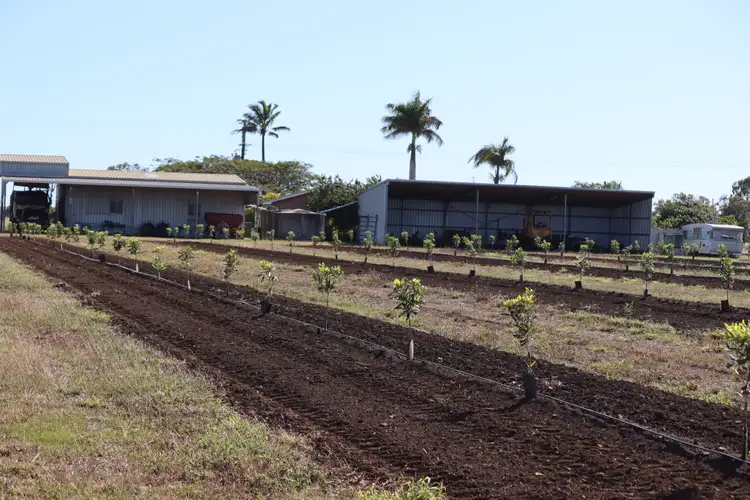 Fifth view of Homely rural property listing, 233 Back Springfield Road, Woongarra QLD 4670