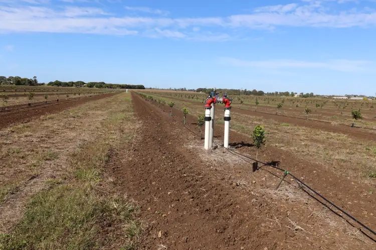 Sixth view of Homely rural property listing, 233 Back Springfield Road, Woongarra QLD 4670
