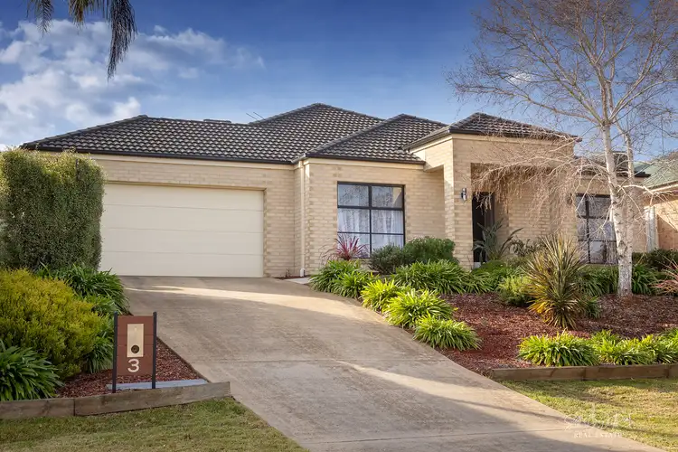 Main view of Homely house listing, 3 COULSTON STREET, Wodonga VIC 3690