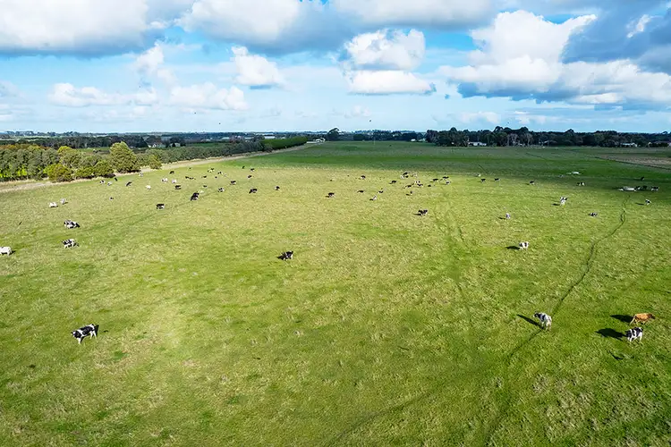 Fifth view of Homely rural property listing, 63-64 Lemans Road Woolsthorpe, Vic, Australia, Woolsthorpe VIC 3276