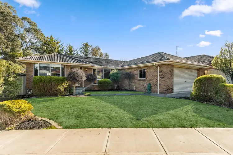 Main view of Homely house listing, 14 Steeple Place, Endeavour Hills VIC 3802