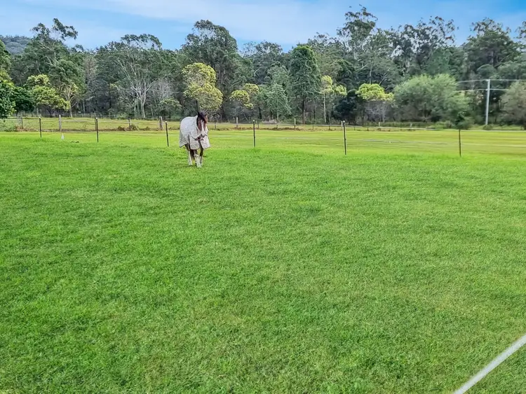 Second view of Homely rural property listing, 34 Wiersma Road, Wamuran QLD 4512