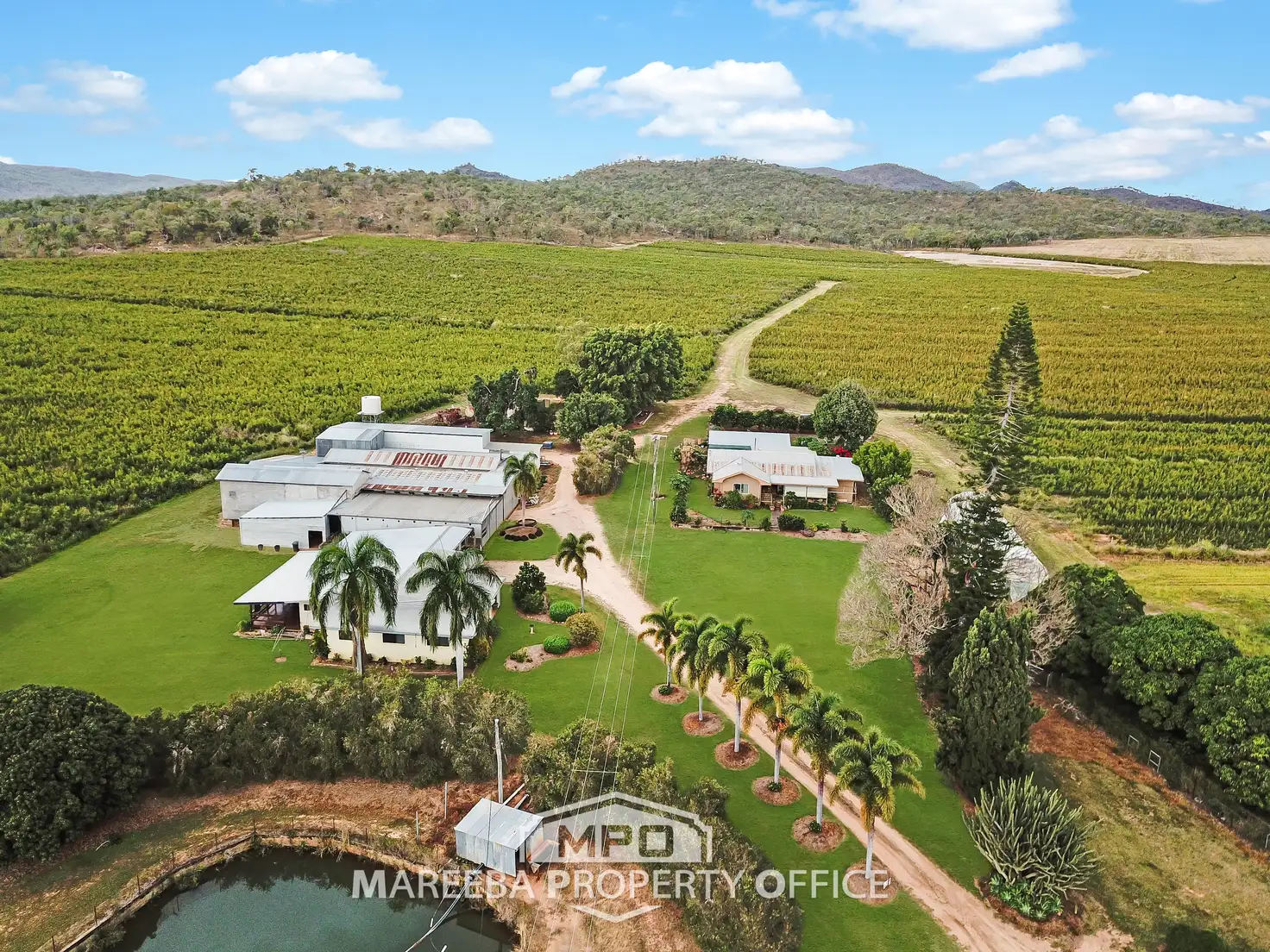 Main view of Homely rural property listing, 15 Minisini Road, Dimbulah QLD 4872