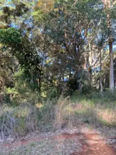 Third view of Homely land listing, 119 Highland Ridge Road, Russell Island QLD 4184