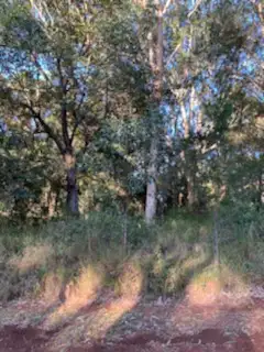 Sixth view of Homely land listing, 119 Highland Ridge Road, Russell Island QLD 4184