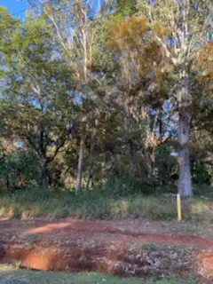 Seventh view of Homely land listing, 119 Highland Ridge Road, Russell Island QLD 4184