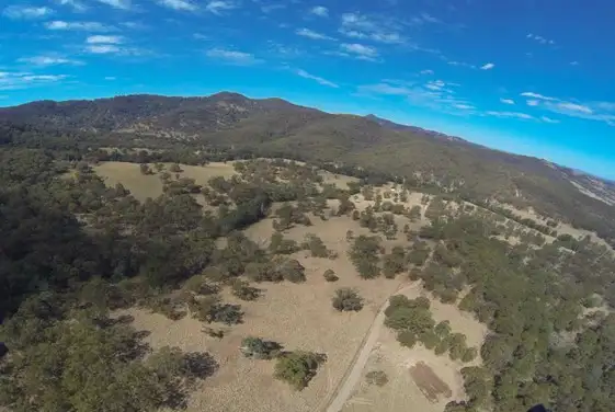 Third view of Homely rural property listing, LOT 39/499 Hulks Road, Merriwa NSW 2329