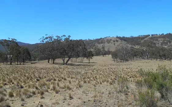 Fourth view of Homely rural property listing, LOT 39/499 Hulks Road, Merriwa NSW 2329
