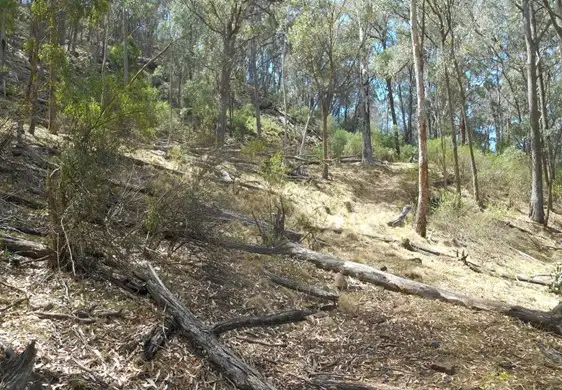 Seventh view of Homely rural property listing, LOT 39/499 Hulks Road, Merriwa NSW 2329