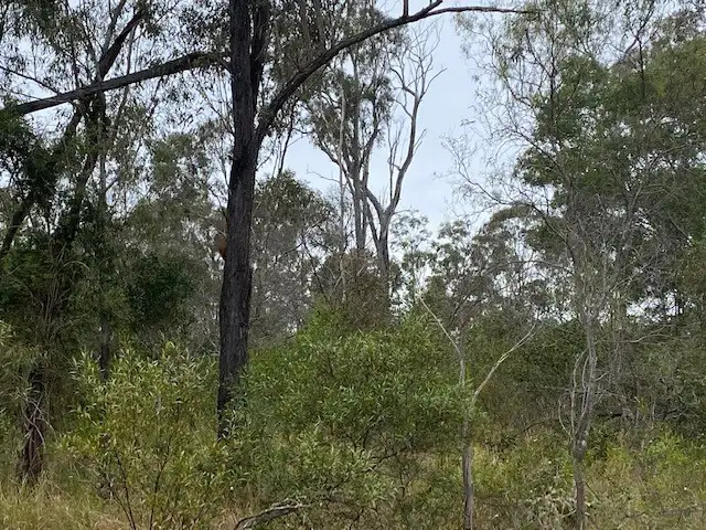Third view of Homely land listing, LOT 18 Old Esk Road, Taromeo QLD 4314