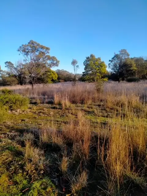 Main view of Homely land listing, LOT C/A 10 Landseer Street, Wickliffe VIC 3379