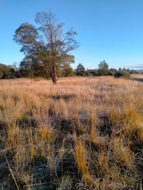 Second view of Homely land listing, LOT C/A 10 Landseer Street, Wickliffe VIC 3379