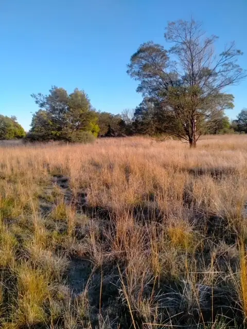 Fourth view of Homely land listing, LOT C/A 10 Landseer Street, Wickliffe VIC 3379