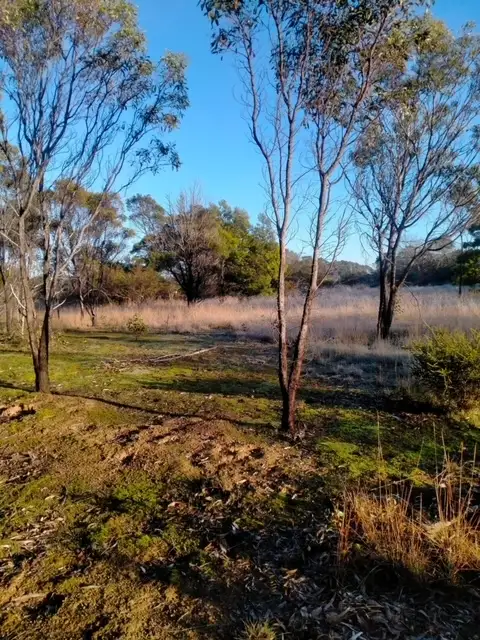 Fifth view of Homely land listing, LOT C/A 10 Landseer Street, Wickliffe VIC 3379