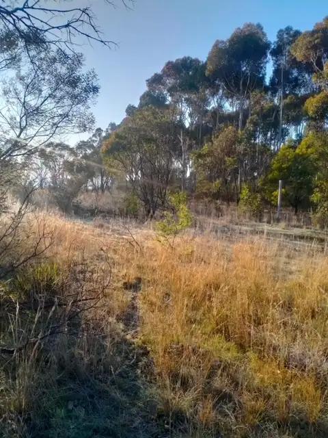 Sixth view of Homely land listing, LOT C/A 10 Landseer Street, Wickliffe VIC 3379