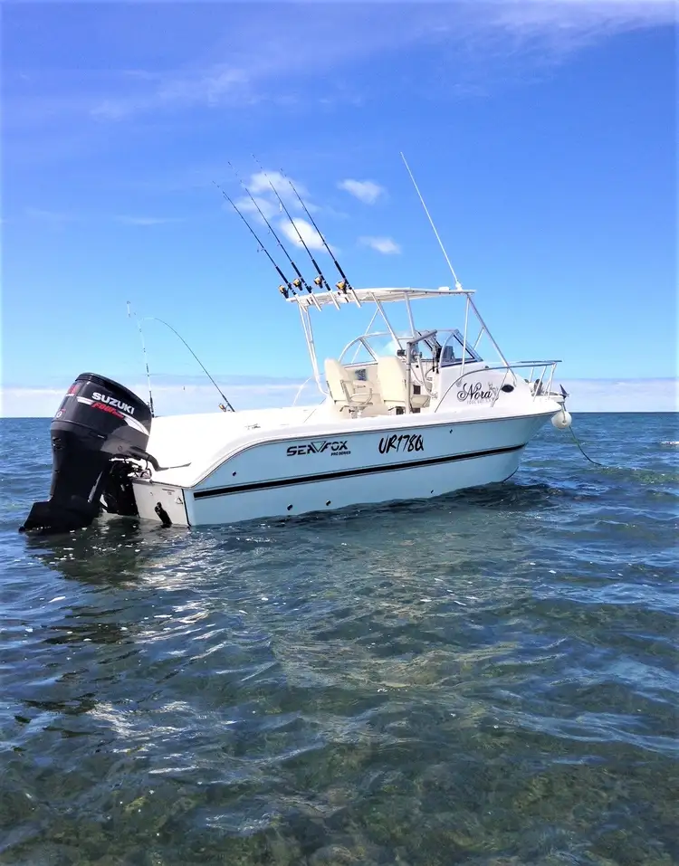 Fourth view of Homely house listing, 6 Hillier Crescent, Foul Bay SA 5577