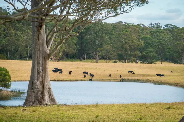 Main view of Homely land listing, 5371 Princes Highway, Bodalla NSW 2545