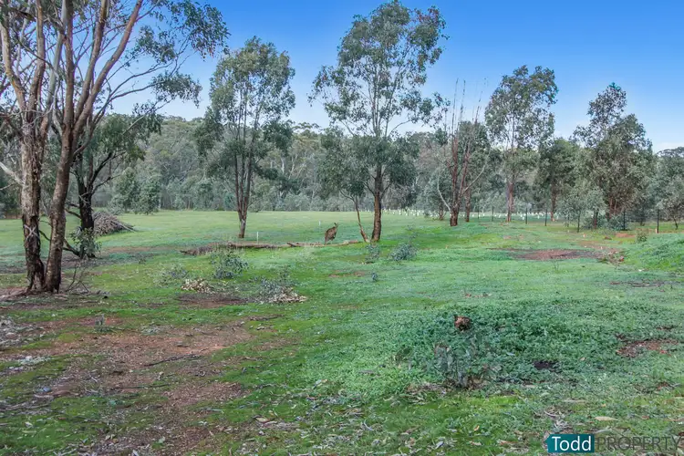 Fourth view of Homely rural property listing, LOT 11 Warren Road, Heathcote VIC 3523