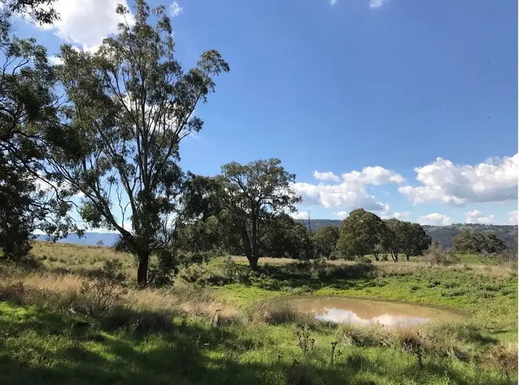 Second view of Homely rural property listing, 1765 Pembroke Road, Cassilis NSW 2329