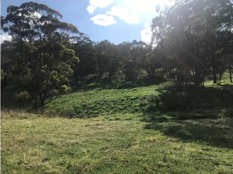 Seventh view of Homely rural property listing, 1765 Pembroke Road, Cassilis NSW 2329