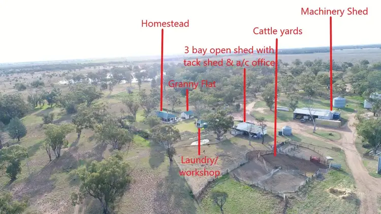 Fifth view of Homely rural property listing, "Haddington" 647 Sandy Camp Road, Quambone NSW 2831