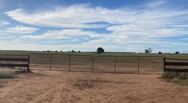 Sixth view of Homely rural property listing, "Haddington" 647 Sandy Camp Road, Quambone NSW 2831