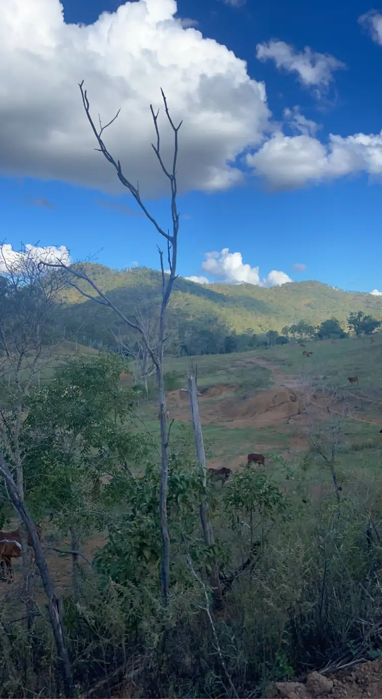 Seventh view of Homely rural property listing, LOT 3 SULLIVANS ROAD, Boyne Valley QLD 4680