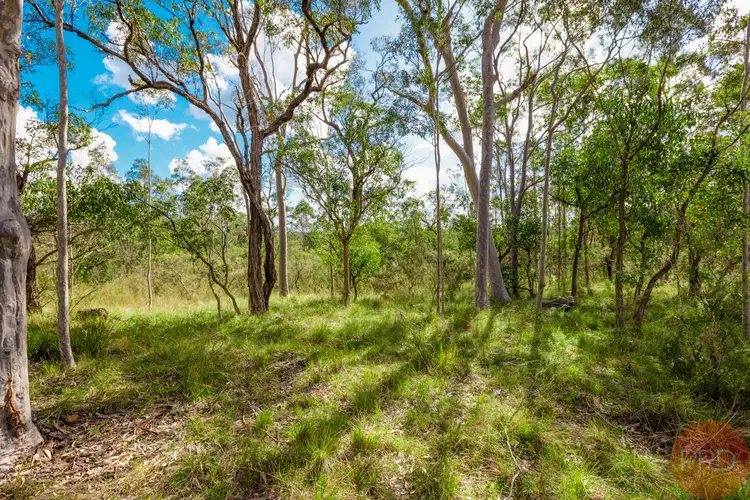 Main view of Homely land listing, LOT 521, 47 Littlewood Road, North Rothbury NSW 2335