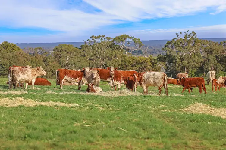 Seventh view of Homely rural property listing, Gowan Brae, Heywood VIC 3304
