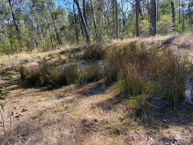 Third view of Homely land listing, 13 Leslie Creek Road, Drake NSW 2469