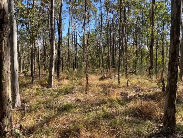 Fifth view of Homely land listing, 13 Leslie Creek Road, Drake NSW 2469