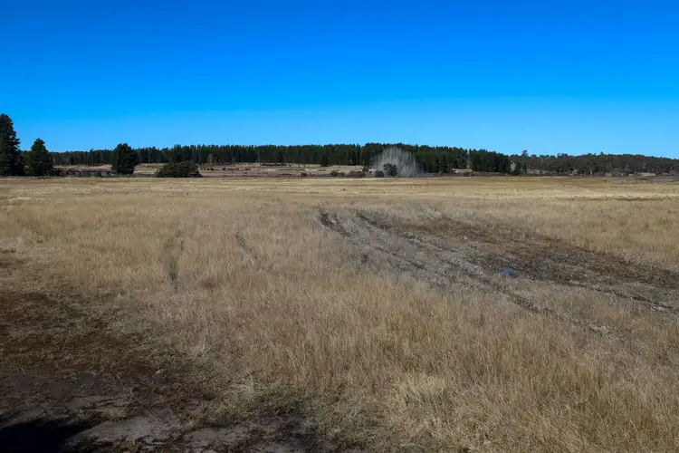 Fifth view of Homely rural property listing, 2587 Oallen Ford Road, Windellama NSW 2580
