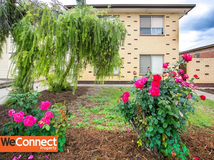 Second view of Homely unit listing, 1/3 Croydon Road, Keswick SA 5035