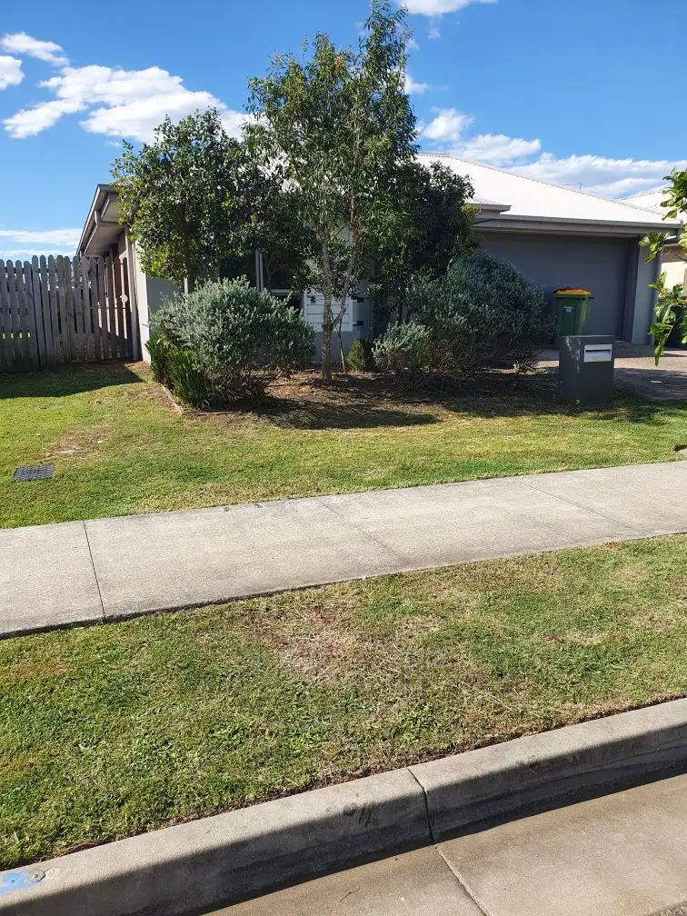 Main view of Homely house listing, 50 Denham Crescent, Pimpama QLD 4209