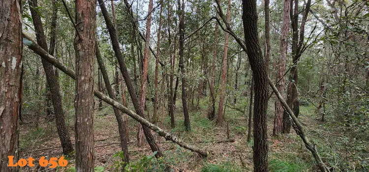 Second view of Homely land listing, lot 655,658,660-661, 663 Clarendon Cres, Basin View NSW 2540