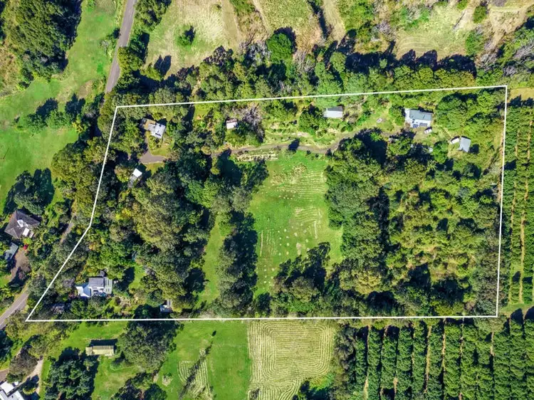 Third view of Homely rural property listing, 1659 Dunoon Road, Dunoon NSW 2480