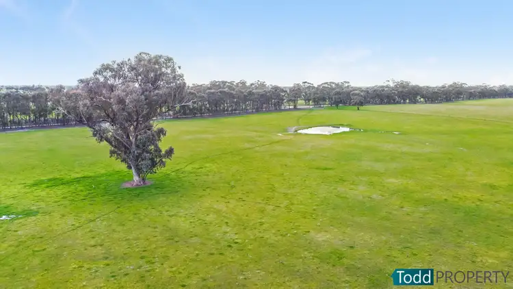Second view of Homely rural property listing, LOT 2 Tait Hamilton Road, Redcastle VIC 3523