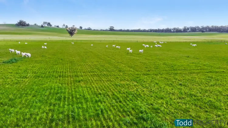 Third view of Homely rural property listing, LOT 2 Tait Hamilton Road, Redcastle VIC 3523