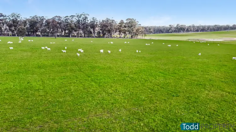 Fourth view of Homely rural property listing, LOT 2 Tait Hamilton Road, Redcastle VIC 3523