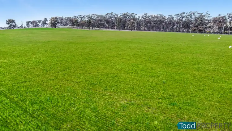 Sixth view of Homely rural property listing, LOT 2 Tait Hamilton Road, Redcastle VIC 3523