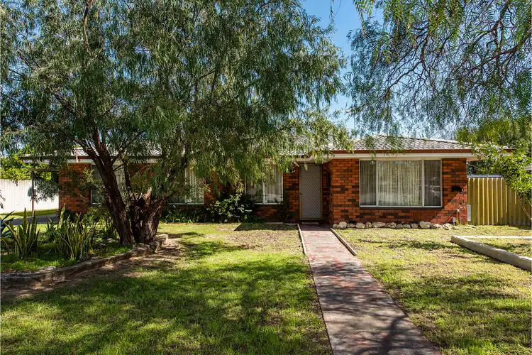 Main view of Homely house listing, 11 Peron Close, Cooloongup WA 6168
