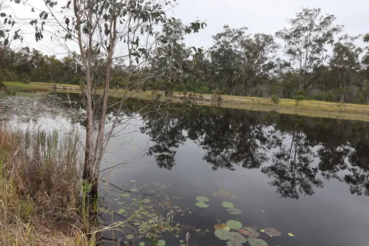 Second view of Homely rural property listing, 570 Monduran Road, Waterloo QLD 4673