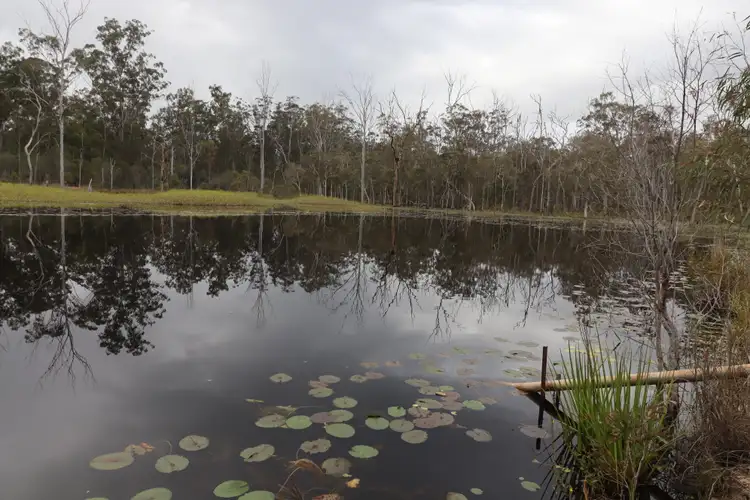 Third view of Homely rural property listing, 570 Monduran Road, Waterloo QLD 4673