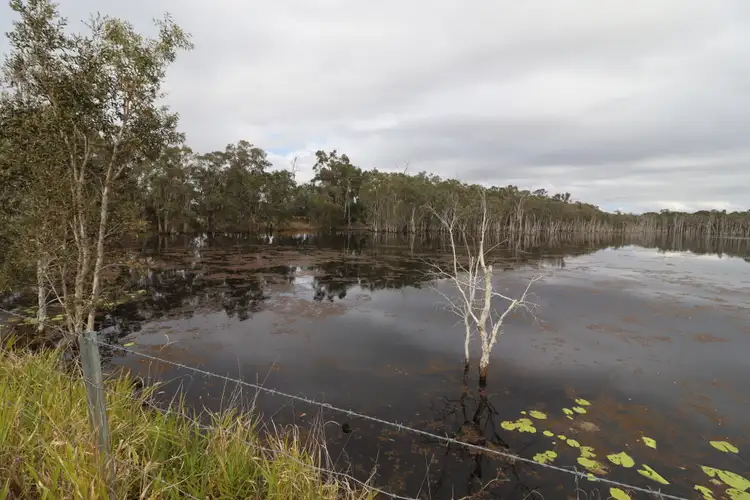 Fourth view of Homely rural property listing, 570 Monduran Road, Waterloo QLD 4673