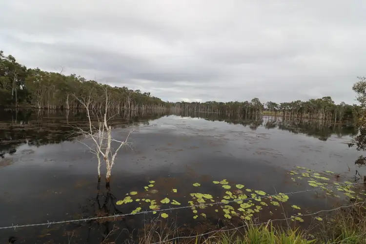 Fifth view of Homely rural property listing, 570 Monduran Road, Waterloo QLD 4673
