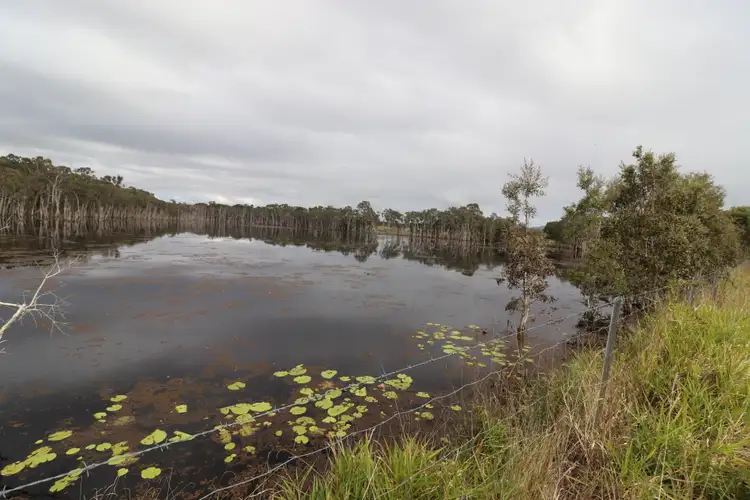 Sixth view of Homely rural property listing, 570 Monduran Road, Waterloo QLD 4673