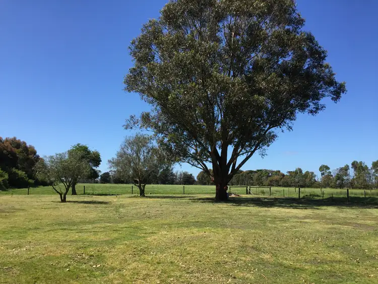 Fourth view of Homely house listing, 37 Ellerslie-Panmure Road, Ellerslie VIC 3265