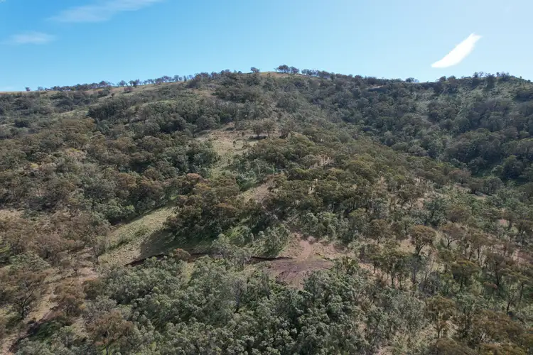 Fifth view of Homely rural property listing, 2359 Pembroke Road, Cassilis NSW 2329