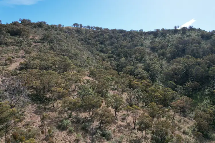 Sixth view of Homely rural property listing, 2359 Pembroke Road, Cassilis NSW 2329
