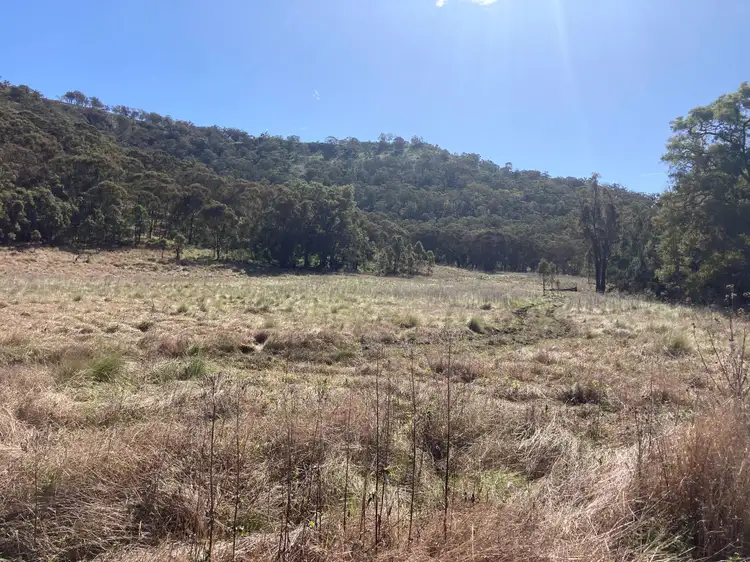 Seventh view of Homely rural property listing, 2359 Pembroke Road, Cassilis NSW 2329